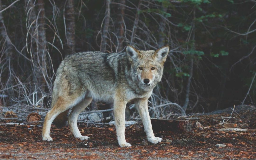 Do you suffer from any of the 7 most unapproachable behaviors?