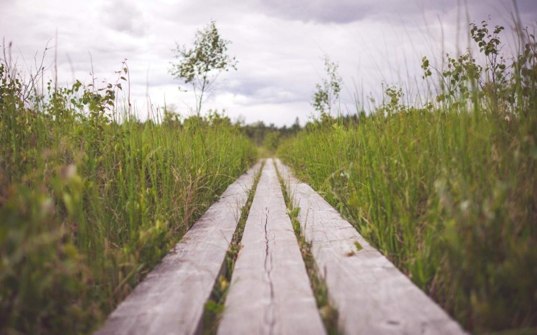 5 Sources of Social Distance in the Workplace