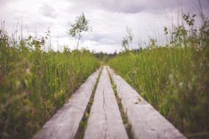 social distance