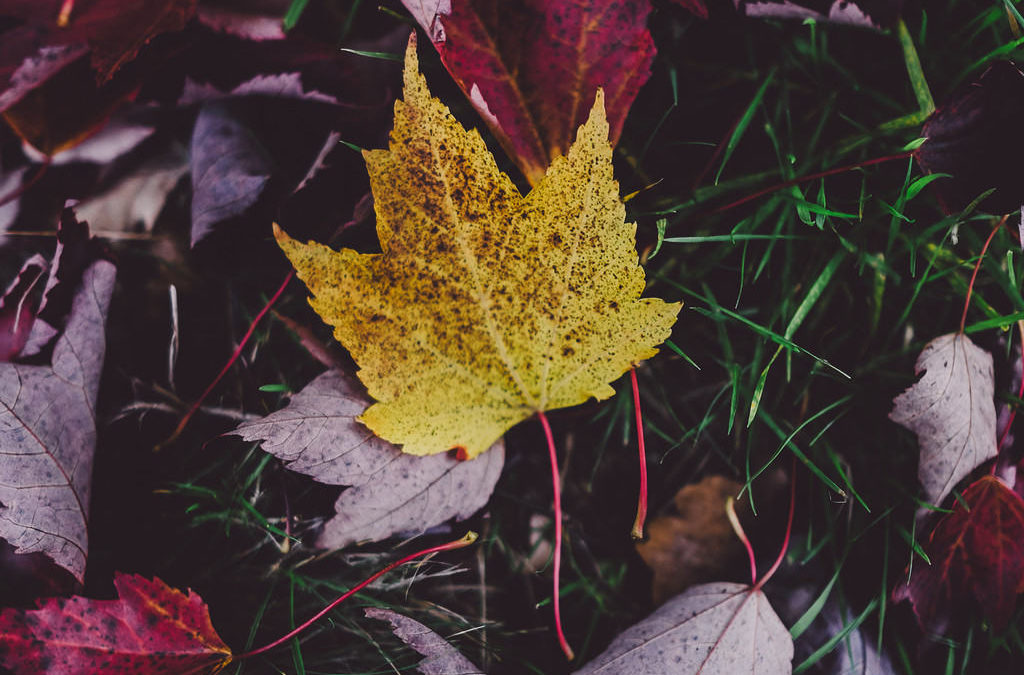 Managing Change: 3 Reasons People Resist Change