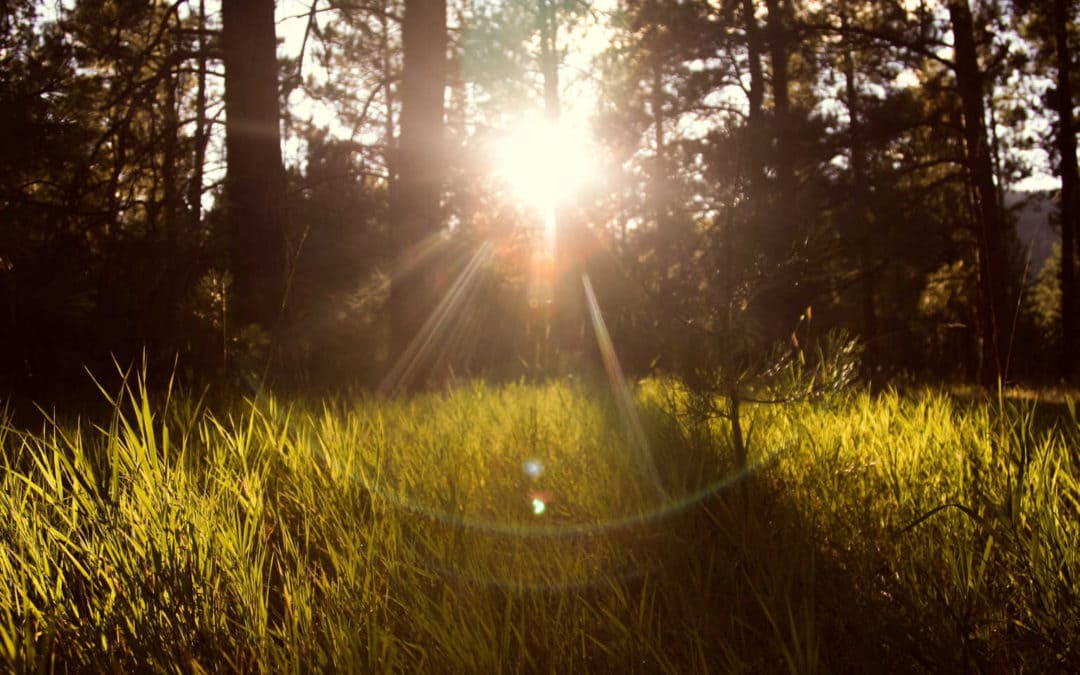 Leader Warmth: Warmth Eats Competence For Breakfast
